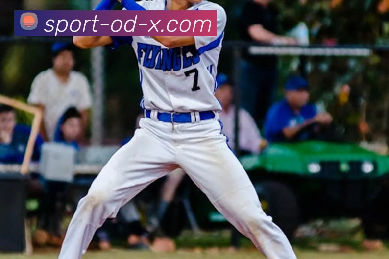 OD体育官方网站sportodplay.com服务体系